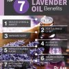 KENZA Pure Lavender Oil 1oz