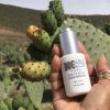 KENZA Prickly Pear Seed Oil Cactus field