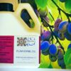 plum-oil-wholesale-french-prunier