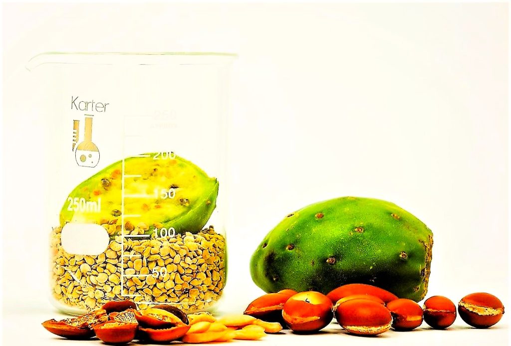 Prickly Pear Seed Oil Argan Oil Plum Oil Wholesale Supplier New York KENZA International Beauty