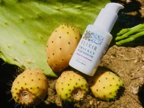 prickly-pear-seed-oil-elixir-serum (1)