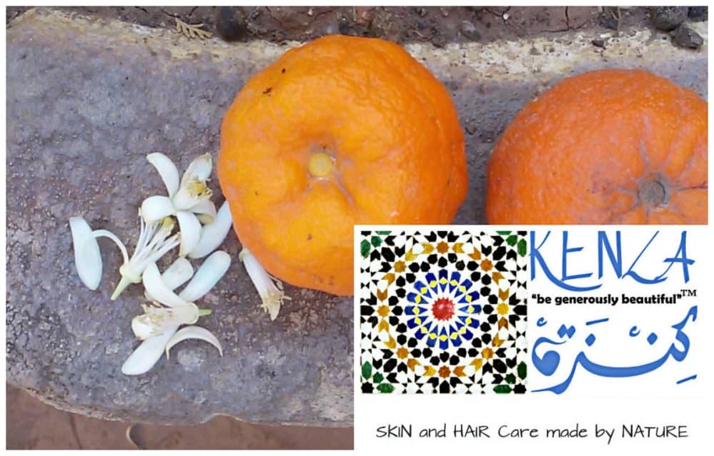 Orange Blossom Flower and Bitter Orange Fruits