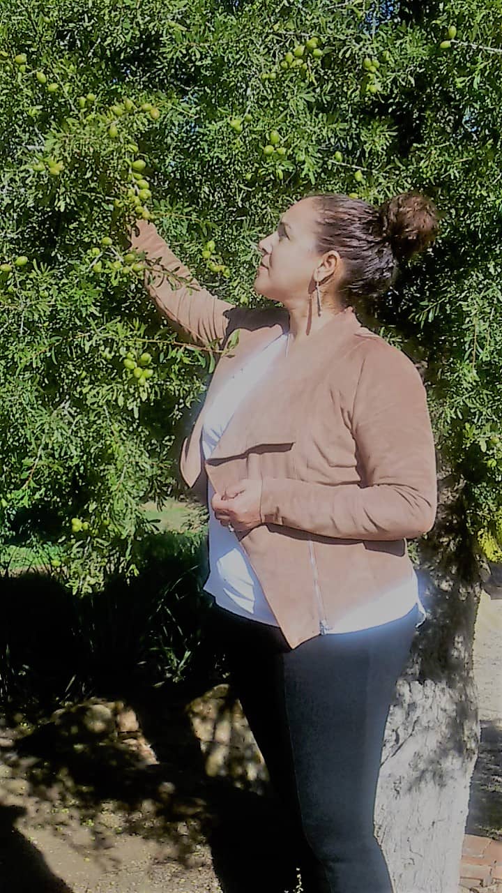 Argan Tree at Atlas Kasbah Garden in Agadir