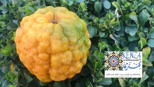 Bitter Orange - Neroli Orange Blossom Essential Oil © KENZA International Beauty