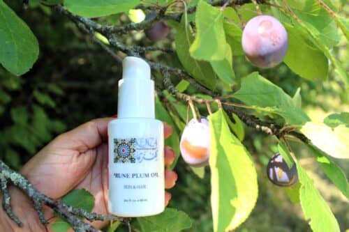 french-prune-plum-oil-skin-hair-care