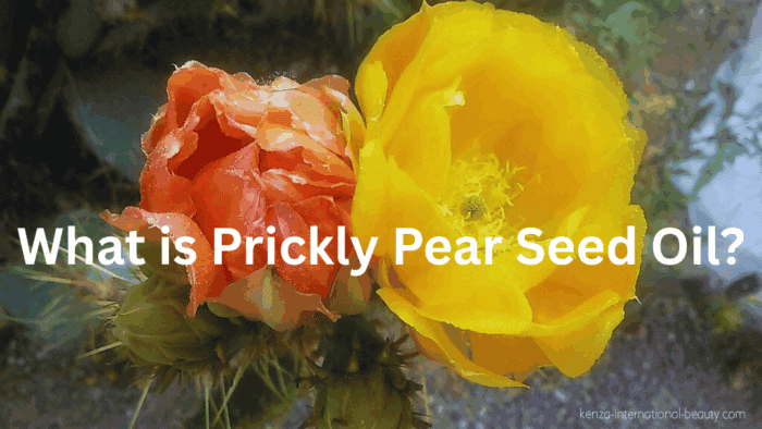 What-is-Prickly-Pear-Seed-oil