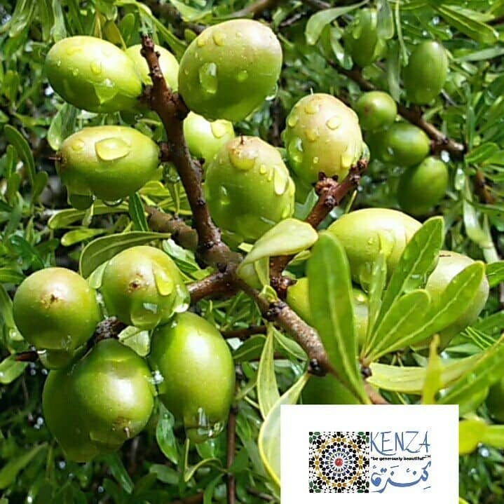 argan-oil-wholesale
