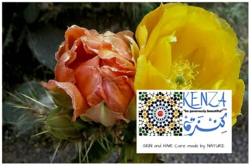 prickly-pear-seed-oil-natural-hair-care-kenza